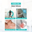 Fossil Fuel- Organic Superfood for Energy, Digestive Health, Immune Support, and Inflammation Relief - Packed with Essential Nutrients and Minerals, Sea Moss (60 Capsules) 3