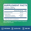 Probiotic & Prebiotic Capsules and Probiotic Gummies | Complete Gut Health, Digestion, and Immune Support Bundle | Gummies with 20 Billion CFU, Vitamin C, and Folic Acid 3