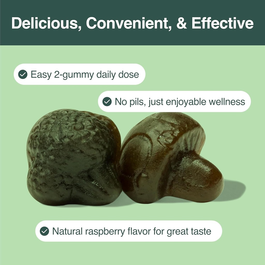 Daily Greens Plus Gummies - Superfood Blend with Chlorella, Spirulina, Beetroot, Lion’s Mane, Ashwagandha & Reishi for Energy, Stress Relief & Wellness - Raspberry Flavored - 60 Count 5