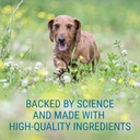 Nutramax Denosyl Liver and Brain Health Supplement for Medium Dogs - With S-Adenosylmethionine (SAMe), 30 Tablets 6