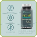 psyllium-husk-plantago-ovata-arabinogala-5.jpg