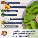 vitalitown-moringa-inositol-bundle-morin-3.jpg