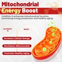 urolithin-a-filled-gummies-for-longevity-4.jpg