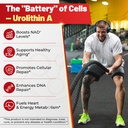 urolithin-a-filled-gummies-for-longevity-5.jpg