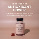 the-elderberry-co-collagen-biotin-gummie-3.jpg