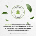 secrets-of-the-tribe-spearmint-capsules--4.jpg