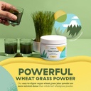 brightcore-nutrition-sweet-wheat-wheatgr-3.jpg