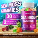 irish-sea-moss-gummies-with-ashwagandha--4.jpg