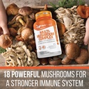 herbtonics-all-in-one-mushroom-supplemen-2.jpg