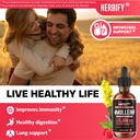 herbify-bundle-lions-mane-mullein-4-fl-o-6.jpg