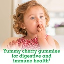 garden-of-life-kids-immune-support-gummi-6.jpg