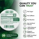 flow-pouches-mushroom-nootropic-pouches--6.jpg