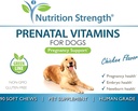 prenatal-vitamins-for-dogs-to-support-de-6.jpg