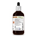 onion-allium-cepa-dry-bulb-glycerite-all-2.jpg