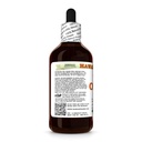 onion-allium-cepa-dry-bulb-glycerite-all-3.jpg