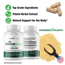 onion-bulb-extract-1000mg-pure-all-natur-4.jpg