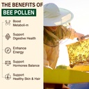 digestive-health-weight-bee-pollen-organ-3.jpg