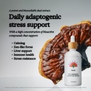 rainbo-brain-health-bundle-lion-s-mane-m-4.jpg