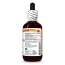 rehmannia-rehmania-glutinosa-dry-root-ti-2.jpg