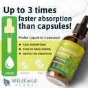 rhodiola-rosea-root-tincture-extract-dro-4.jpg