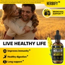 herbify-bundle-mullein-leaf-extract-sea--5.jpg