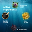 trueseamoss-bundle-elderberry-drops-ashw-4.jpg