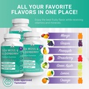 bio-vitalica-bundle-sea-moss-elderberry--5.jpg