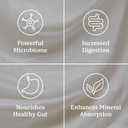 nature-s-sunshine-probiotic-eleven-90-ca-5.jpg