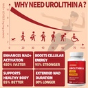 vpkin-liposomal-urolithin-a-supplement-w-3.jpg