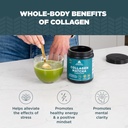 ancient-nutrition-matcha-powder-with-col-4.jpg
