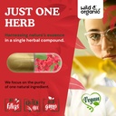 wild-organic-berberine-supplement-capsul-5.jpg