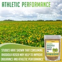xprs-nutra-organic-rhodiola-rosea-powder-3.jpg