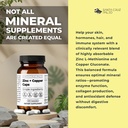 santa-cruz-paleo-zinc-copper-mineral-sup-4.jpg