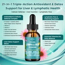 liposomal-lymphatic-drainage-drops-liver-2.jpg