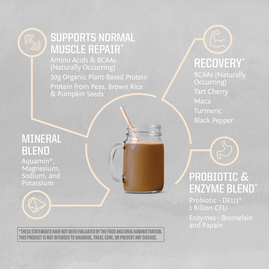 sunwarrior-active-protein-powder-plant-b-4.jpg