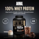 animal-100-whey-protein-powder-whey-blen-2.jpg