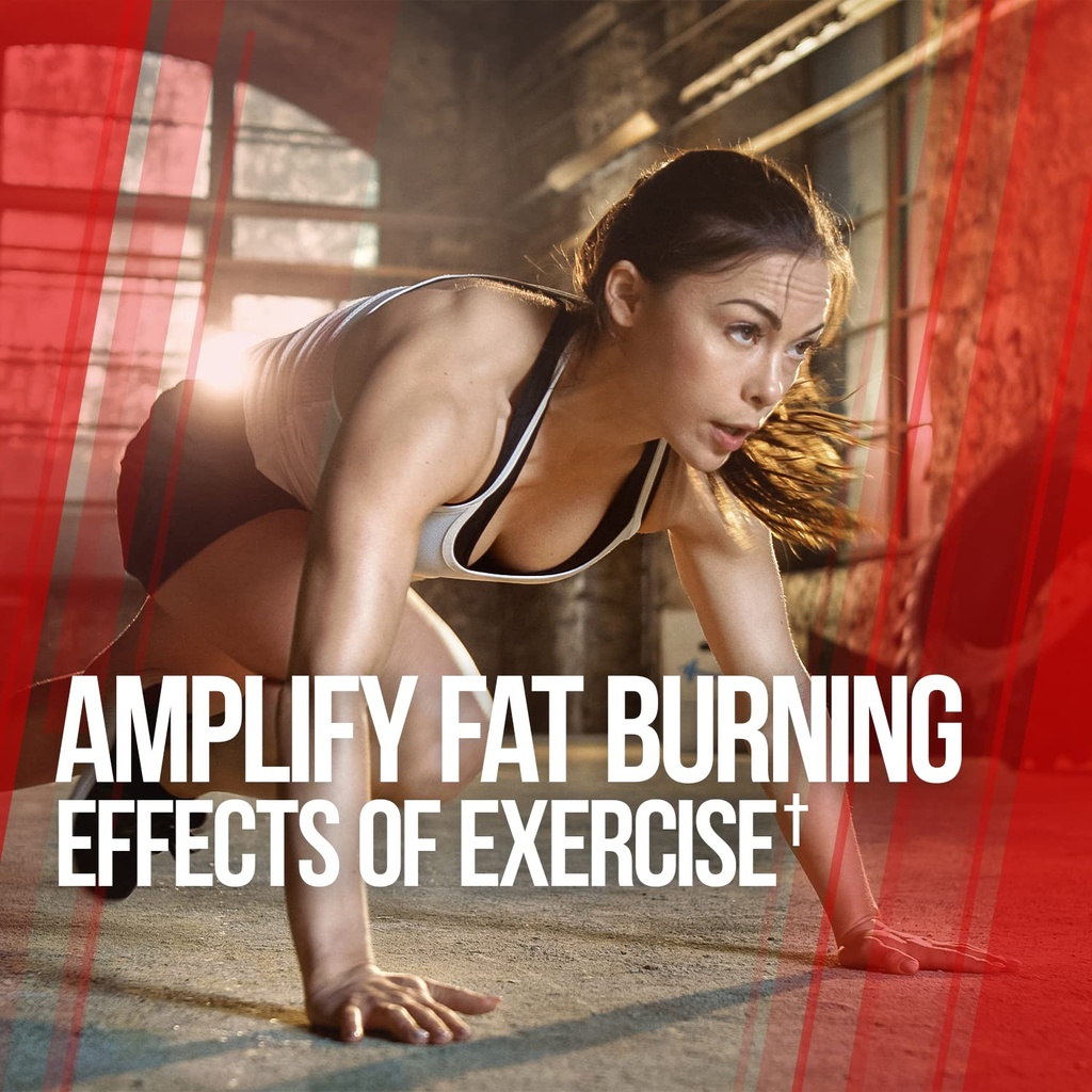 alpha-lion-gains-candy-supplement-pills--4.jpg