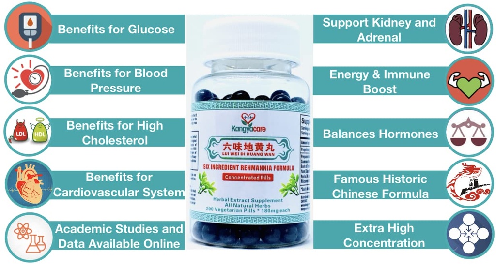 liu-wei-di-huang-wan-six-ingredient-rehm-2.jpg