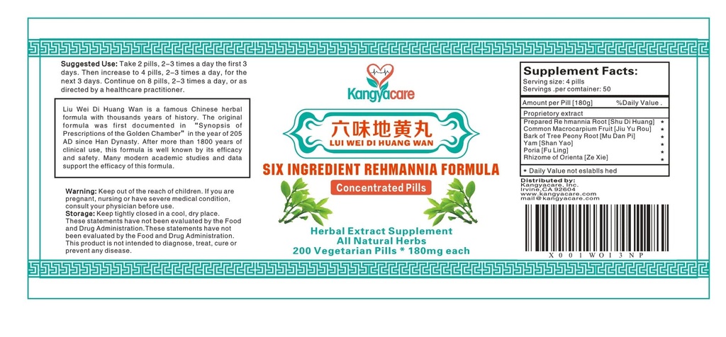 liu-wei-di-huang-wan-six-ingredient-rehm-6.jpg
