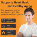 zebora-coq10-200mg-gummies-coenzyme-q10--2.jpg