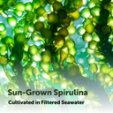 micro-ingredients-organic-spirulina-supp-5.jpg