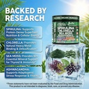 sea-tox-organic-spirulina-and-chlorella--3.jpg