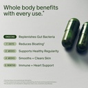 seed-ds-01-daily-synbiotic-dm-02-daily-m-3.jpg