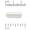 lactobif-probiotics-65-bllion-cfu-20-act-3.jpg