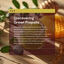 brazilian-green-propolis-immune-support--4.jpg