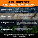brain-complex-addifocus-brain-supplement-3.jpg