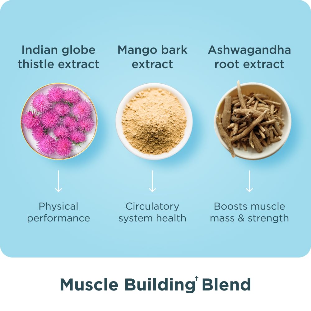 ancient-nutrition-advanced-multi-collage-6.jpg