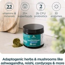 ancient-nutrition-organic-supergreens-po-2.jpg