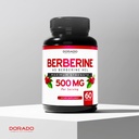 berberine-supplement-500mg-per-serving-6-5.jpg