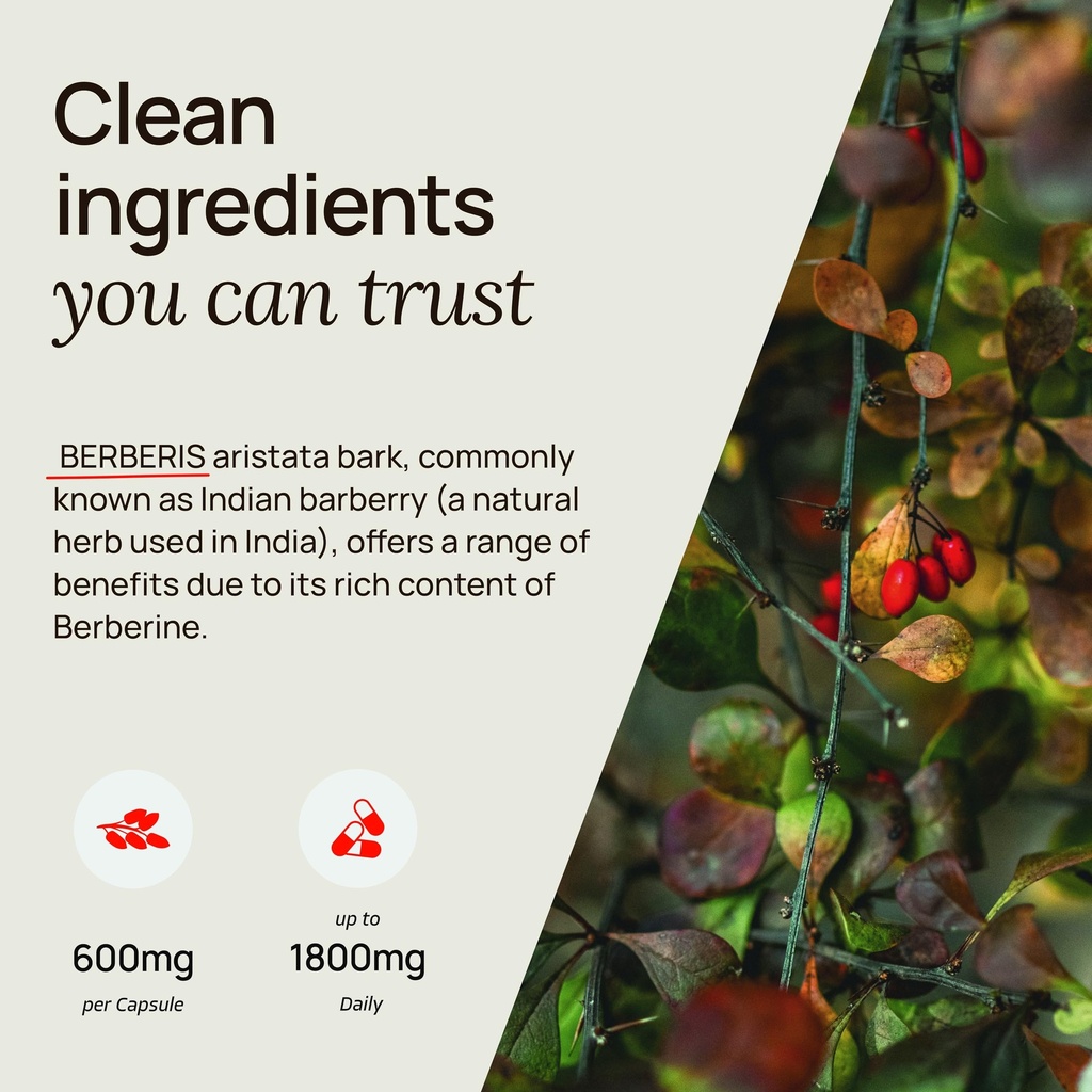 ultra-berberine-supplement-capsules-600m-5.jpg